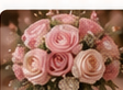 Ramo de rosas